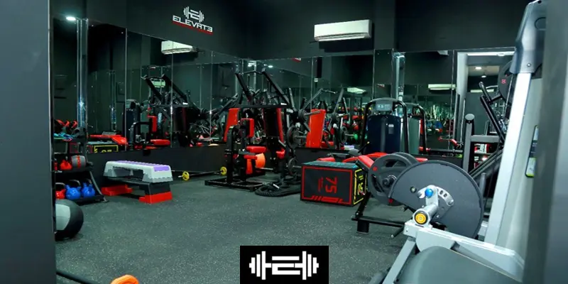 Fitness Programs & Workout Plans: The Complete Guide to Building Strength, Losing Fat & Transforming Your Body